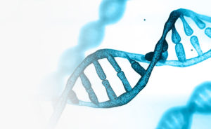 DNA Strand