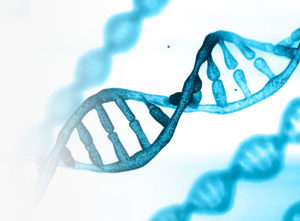 DNA Strand